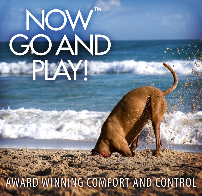 EzyDog Cujo Shock Absorbing Bungee Dog Leash - Best Dog Rope Training Lead - Reflective Trim for Nighttime Safety - Padded Pull Handle for Superior Comfort and Control (25", Pink Camo) - Image 4